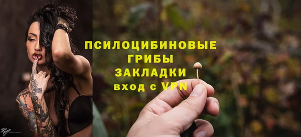 mdpv Вяземский