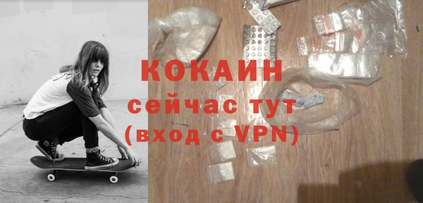 индика Вязники